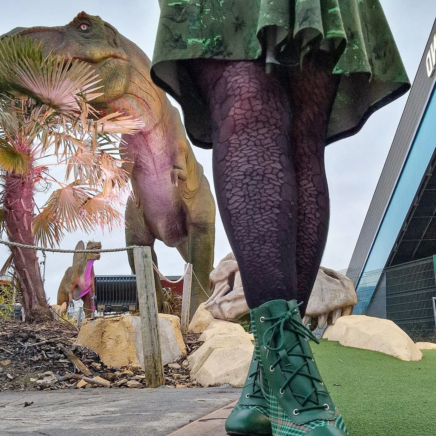 Dinosaur Tights - Raptor