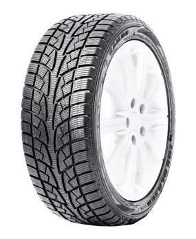 Ice Blazer WSL2 - 175/65R15 84T