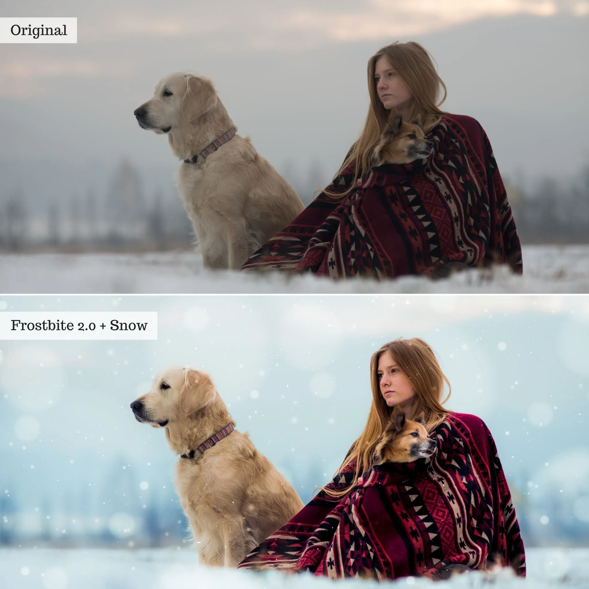 Let it Snow! 2.0 Winter Lightroom Presets & AI Tools – Desktop & Mobile