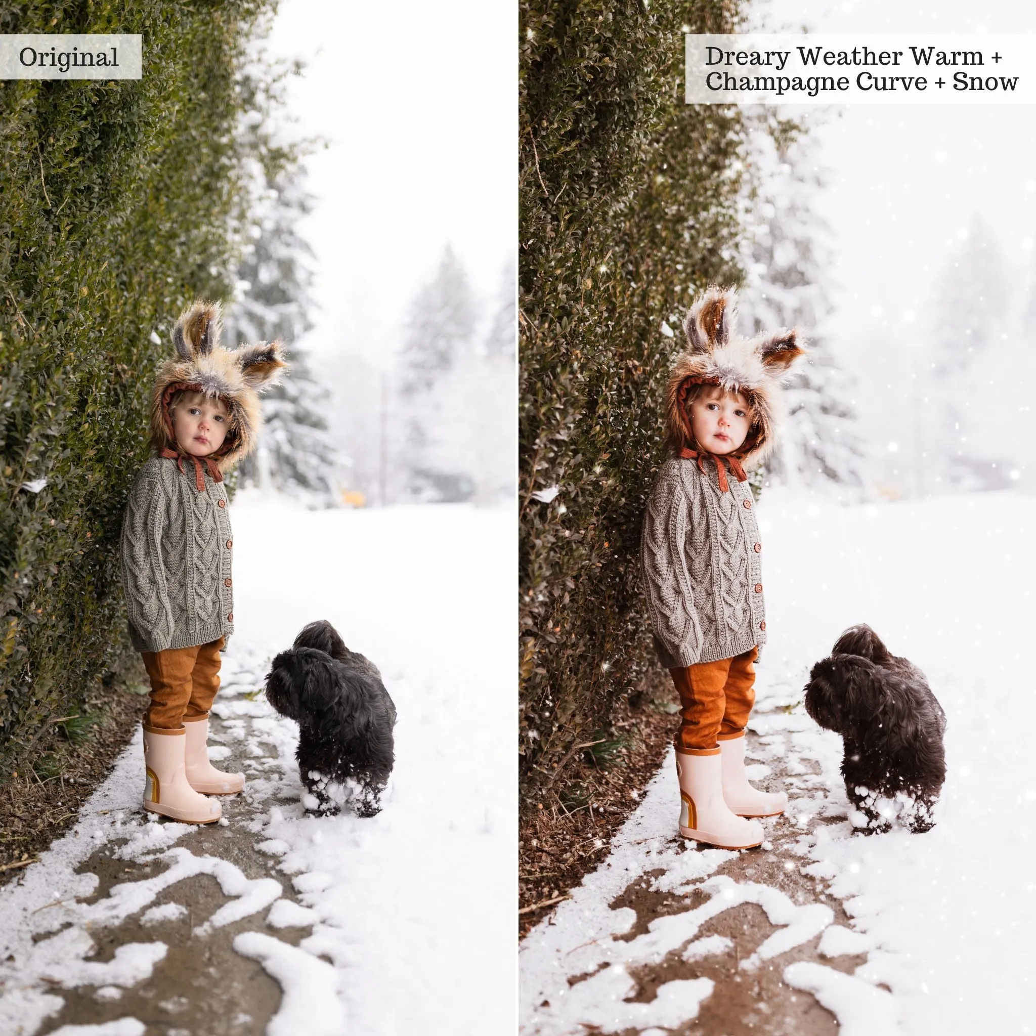 Let it Snow! 2.0 Winter Lightroom Presets & AI Tools – Desktop & Mobile