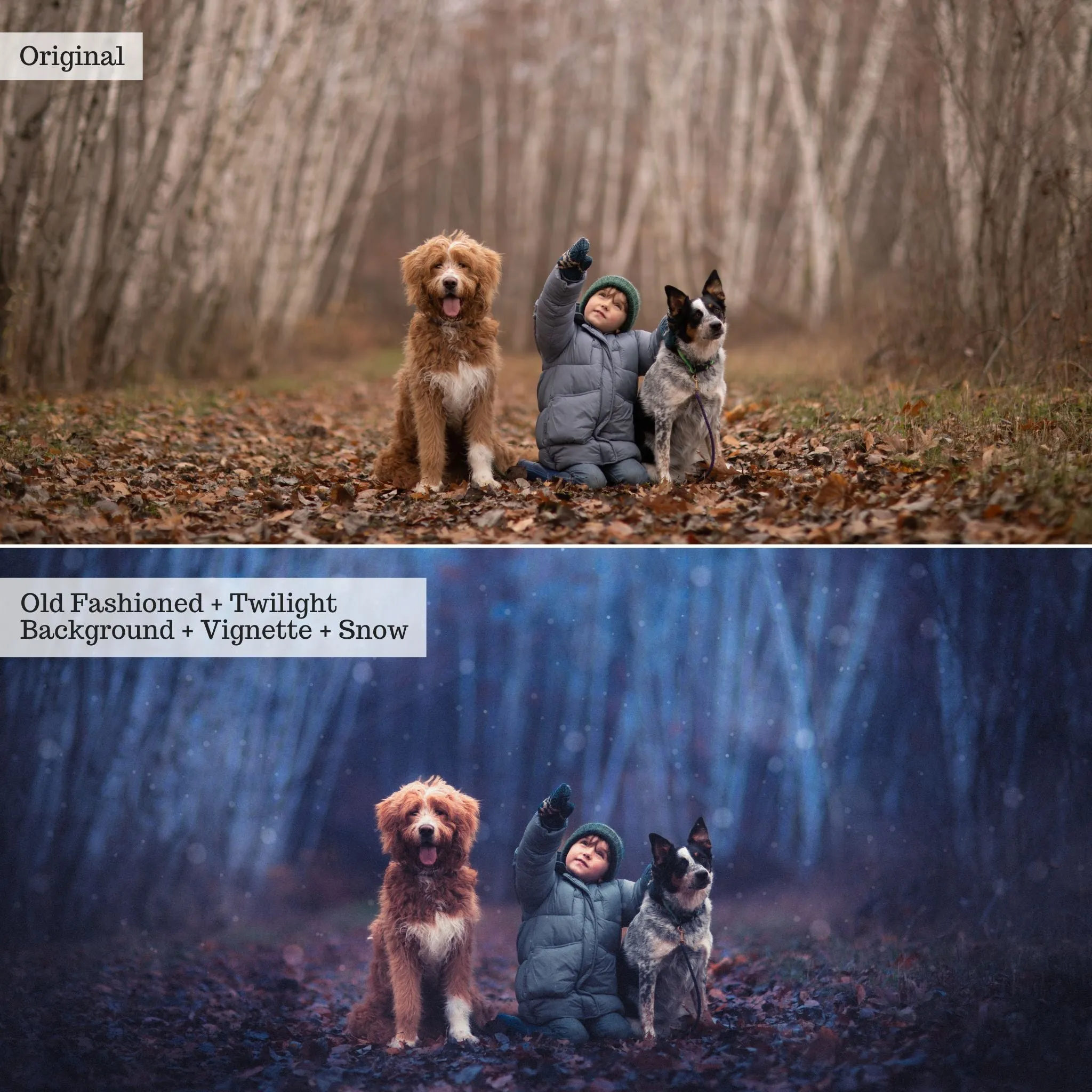 Let it Snow! 2.0 Winter Lightroom Presets & AI Tools – Desktop & Mobile