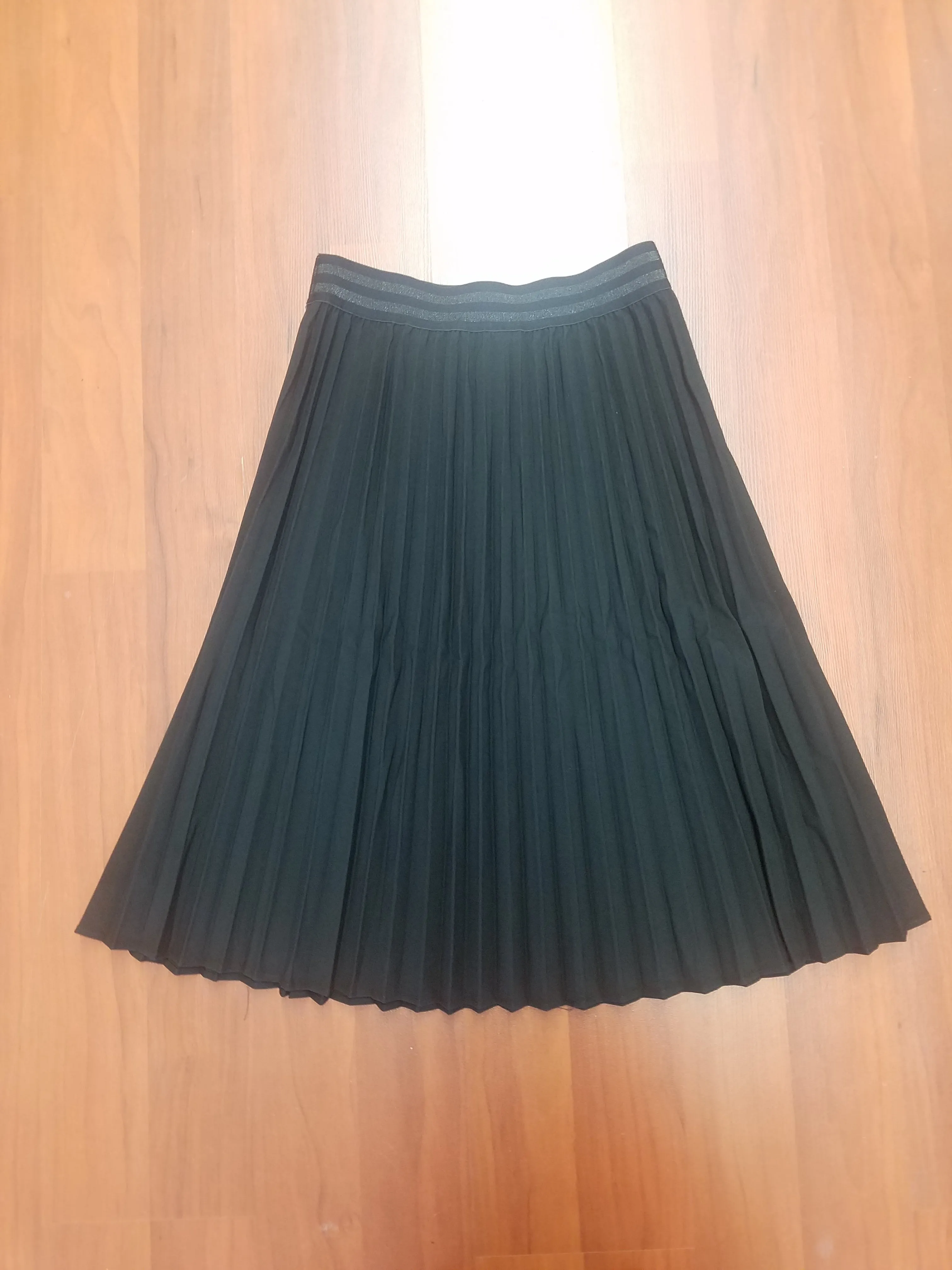 Pleated Skirt 20110