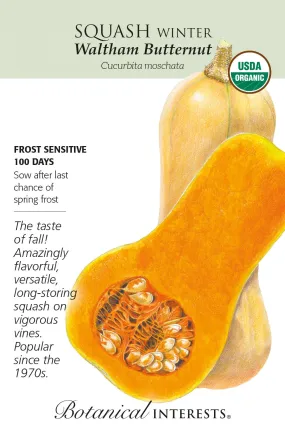 Squash (Winter) 'Waltham Butternut' - Botanical Interests® - Organic