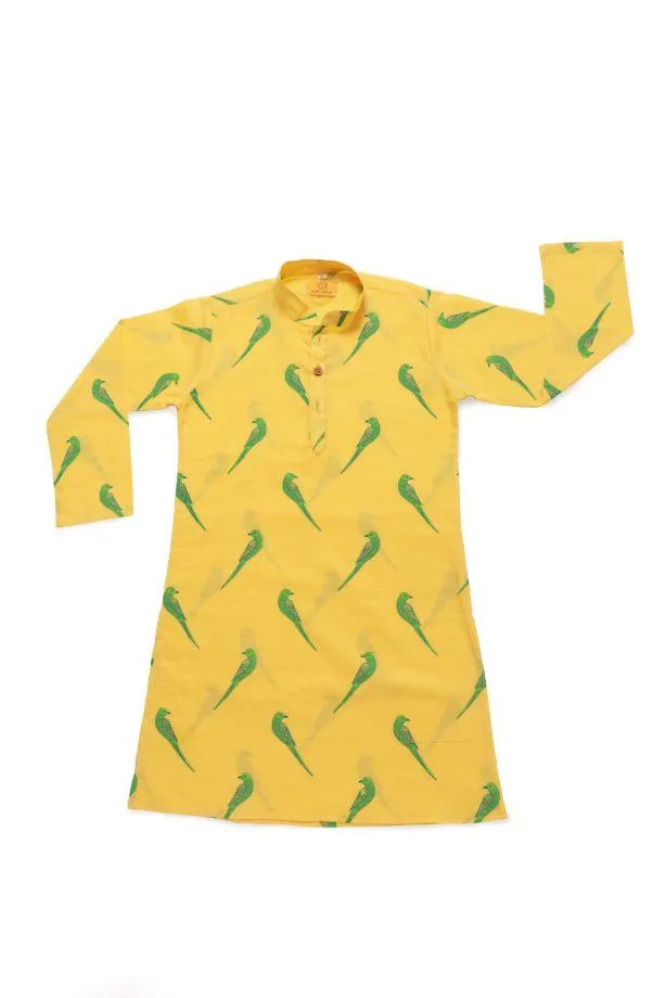 Tiya Boys Kurta- A Parrot