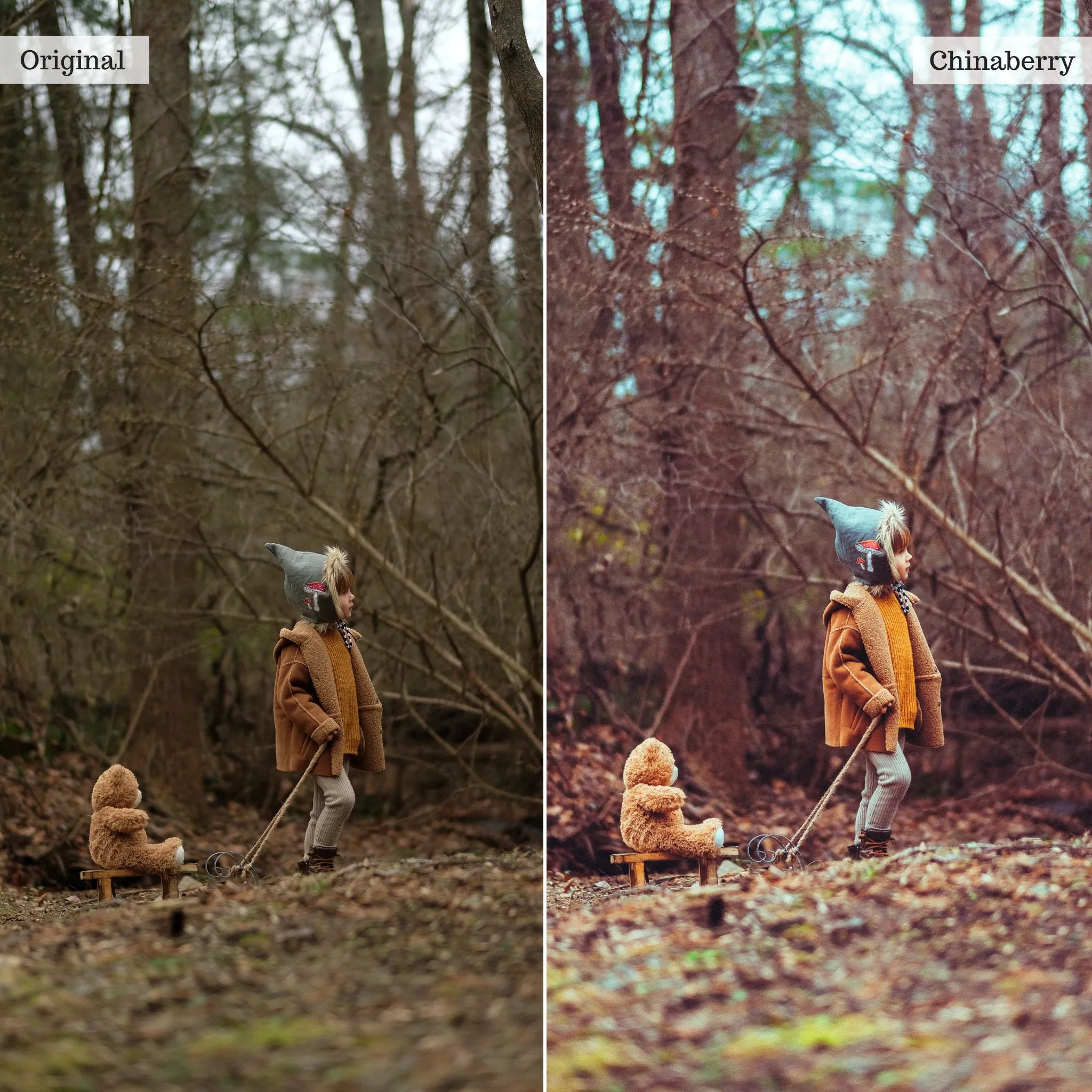 Winter Lightroom Presets for Mobile & Desktop