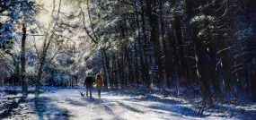 Winters Wonderland Canvas by Rob Hefferan